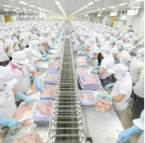 Chứng nhận vệ sinh an toàn thực phẩm - Công Bố Hợp Quy LYT - Công Ty TNHH LYT Vietnam